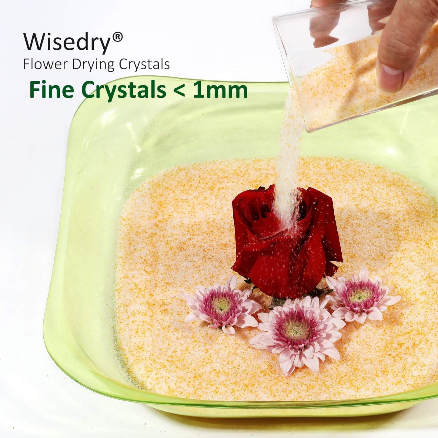 Wisedry Silica Gel Flower Drying Crystals