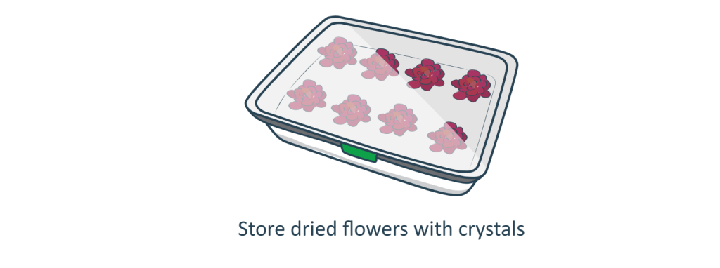 Removing dried flowers and brushing away remaining silica gel crystals