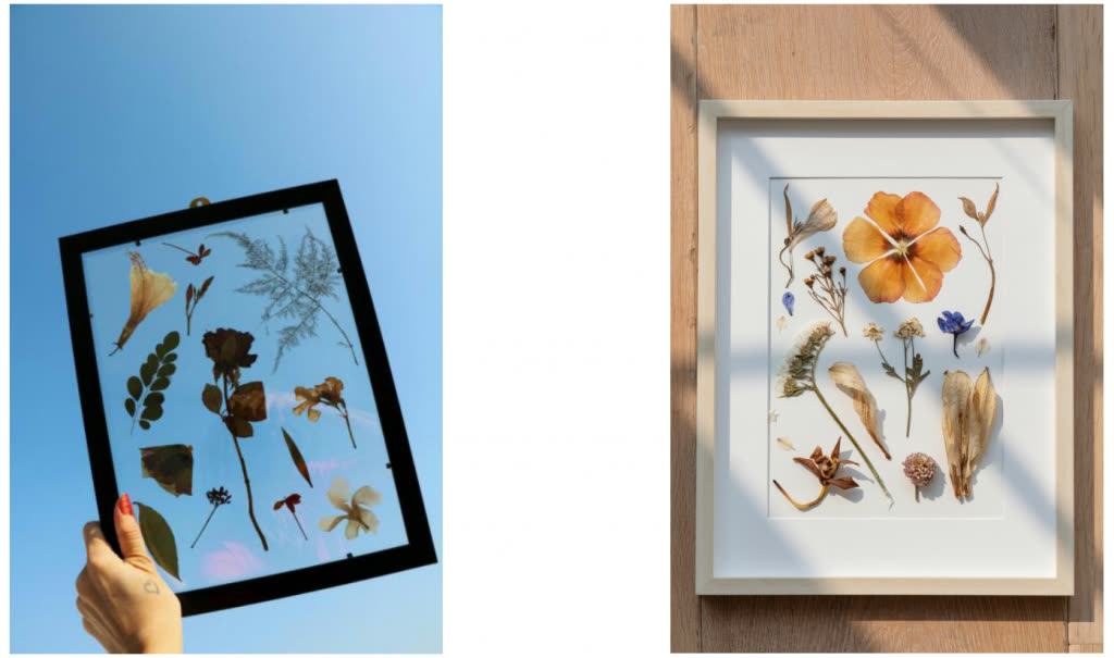 Dried flowers arranged in framed DIY wall art projects