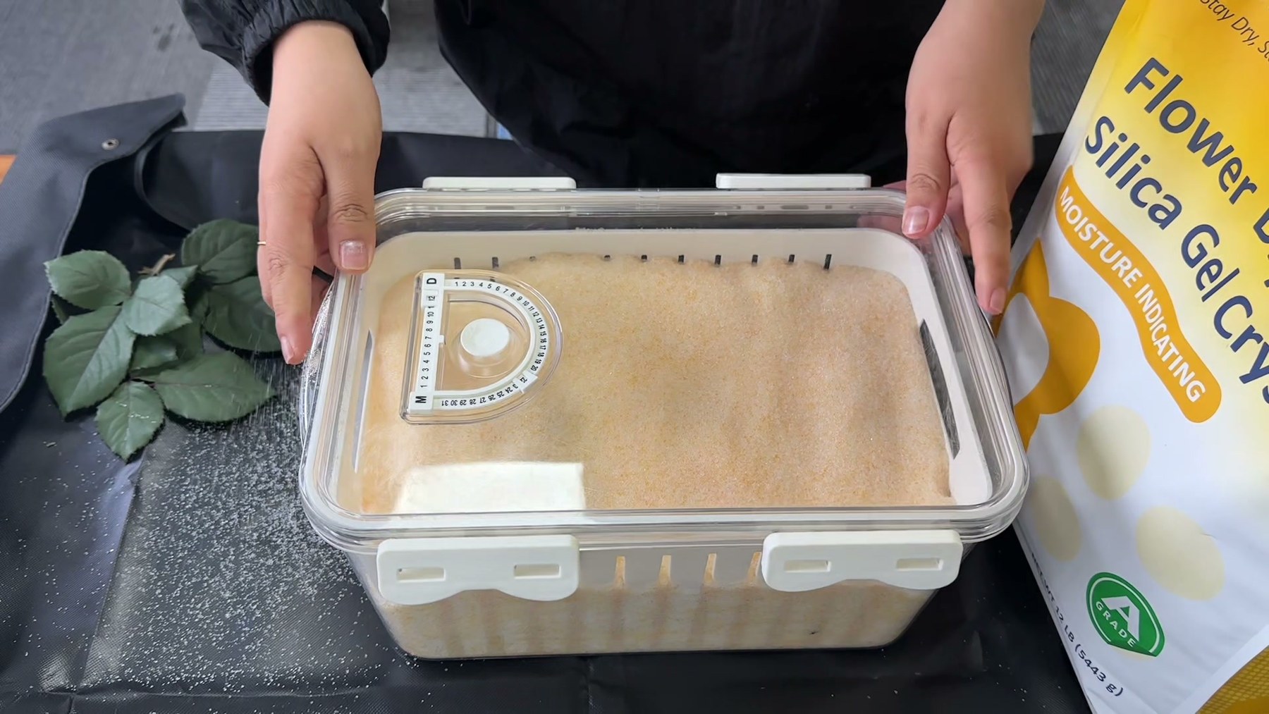 Clear Wisedry flower drying container being closed gently after silica gel covers the bloom