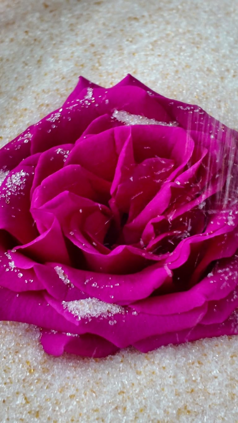 Wisedry flower drying silica gel being poured gently around rose petals