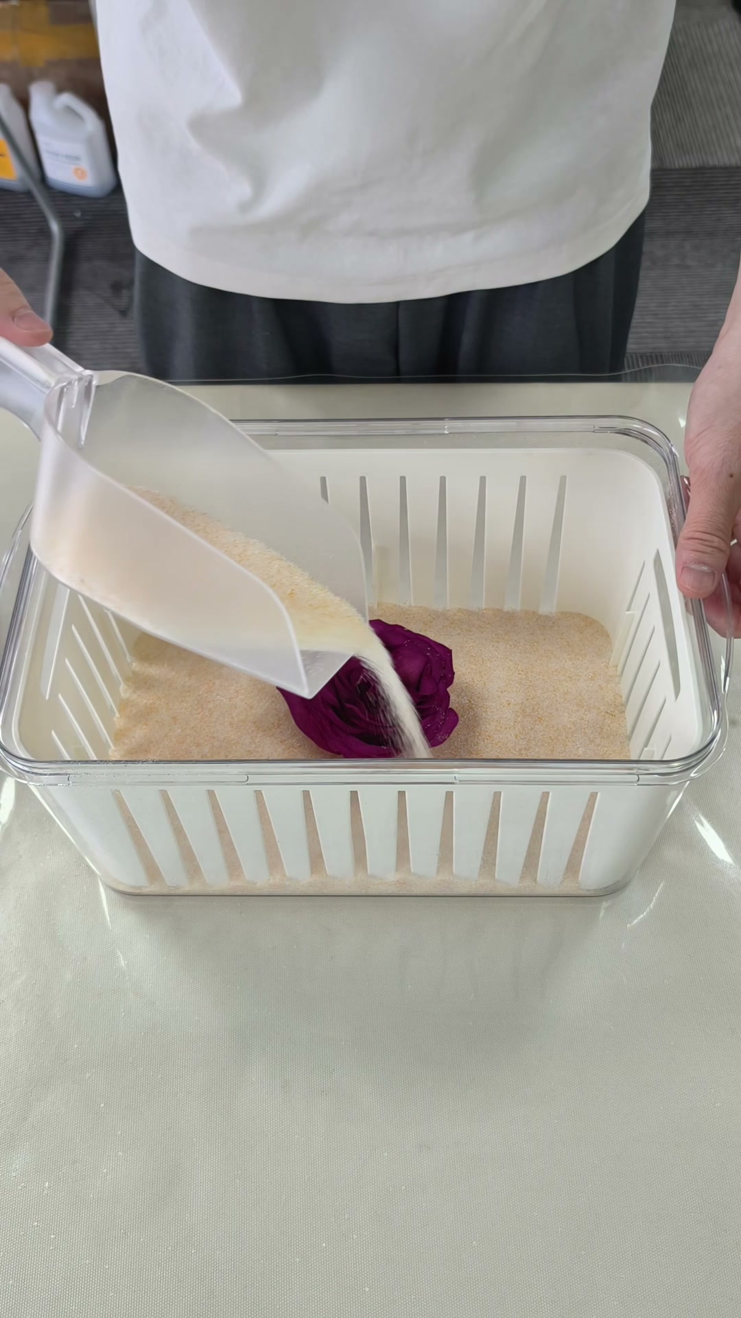 Silica gel crystals poured beside a rose in a Wisedry flower drying container
